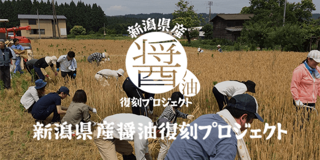 新潟県産醤油復刻プロジェクト